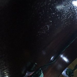 Meet your Posher, Audrey